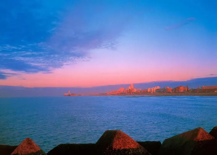 Terrace With Lush Garden Holiday home *