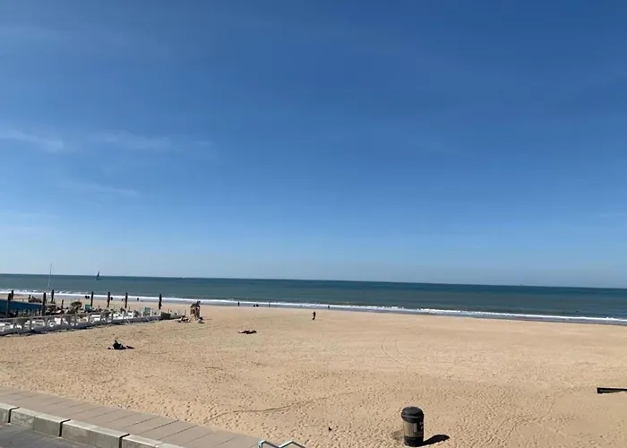 Terrace With Lush Garden Voorburg