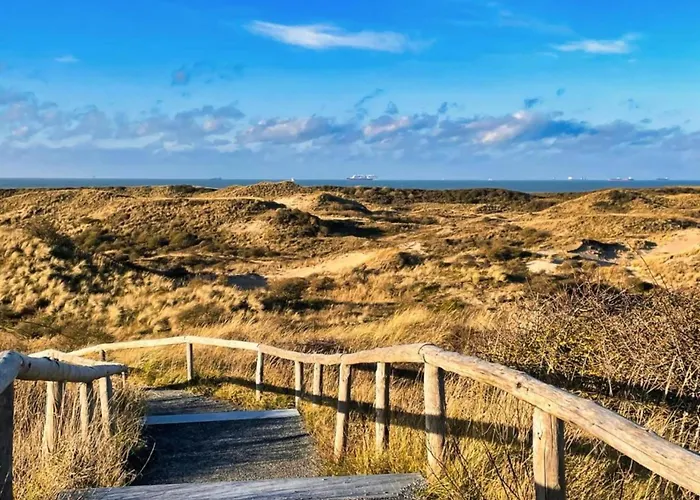 Terrace With Lush Garden *