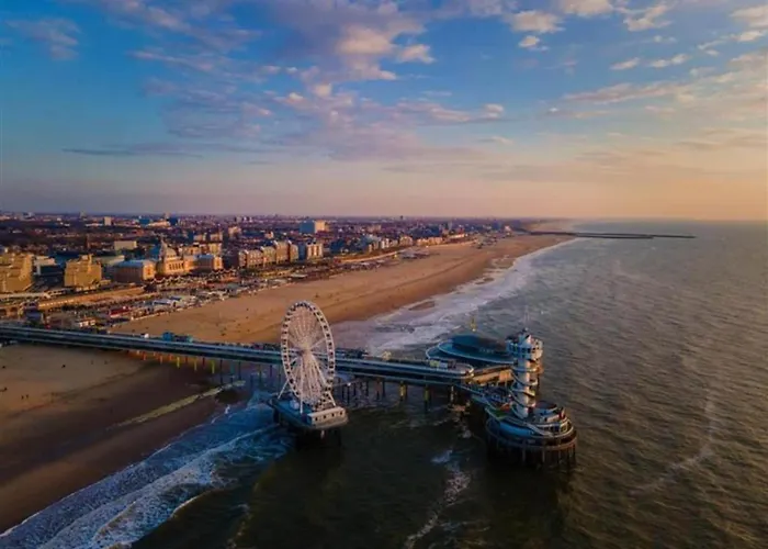 Terrace With Lush Garden *