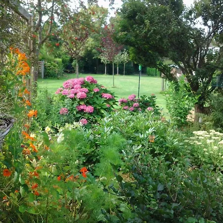 Terrace With Lush Garden