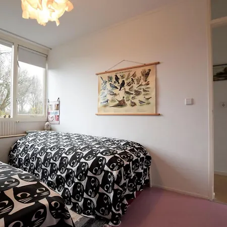 Terrace With Lush Garden