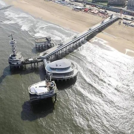 Terrace With Lush Garden Voorburg