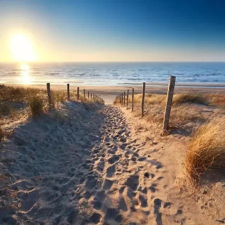 Terrace With Lush Garden * Voorburg