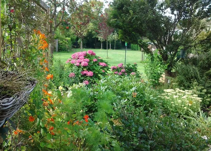 Terrace With Lush Garden