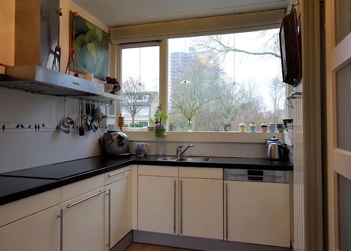 Terrace With Lush Garden