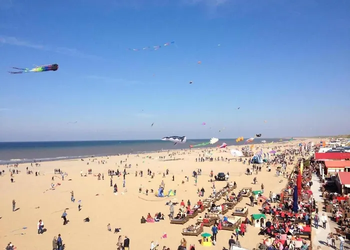 Terrace With Lush Garden Voorburg