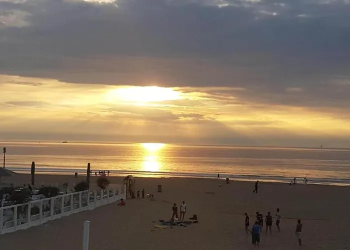 Terrace With Lush Garden Voorburg