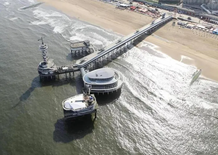 Terrace With Lush Garden Voorburg
